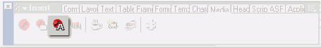  Macromedia Flash